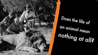 Does the life of an animal mean nothing at all? - World Animal Protection Film