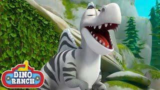 Wow a RARE Striped Spinosaurus! | Dino Ranch