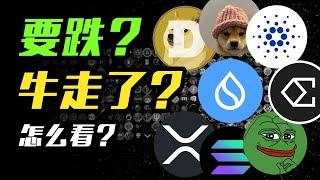 BTC怎么看？山寨币还有机会吗？SUI | WIF | ADA | ENA | XRP | DOGE | SOL | LINK | PEPE | SHIB | 加密货币