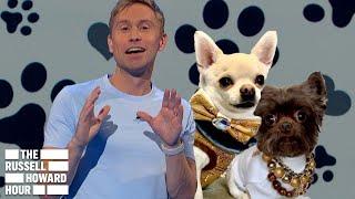 We Need To STOP Spoiling Our Pets | The Russell Howard Hour