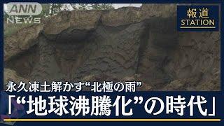 永久凍土解かす“北極の雨”植物減り動物も…異常気象が生態系に影響か【北極ノート】(2023年8月11日)