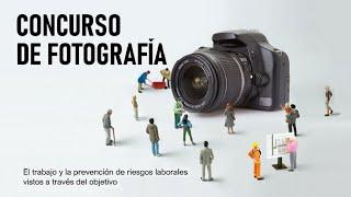 Concurso de fotografía “Muchas vidas… a tu lado”. Fotografías seleccionadas.