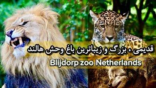 بزرگ ترین و زیبا ترین باغ وحش هالند | 2024 The largest and most beautiful zoo Blijdorp Zoo