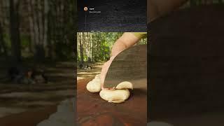 Неймовірні історичні факти #реддитистории  #історії #reddit_українською