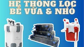 Top những hệ thống lọc hiệu quả cho bể cá cảnh, bể thuỷ sinh cỡ nhỏ và vừa