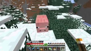 Minecraft - Indecisive Pig