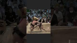 Hakuoho's debut in the top division of professional sumo 伯桜鵬