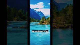 Islam is beautiful #muftimenk #muslim @islamchanneltv @Drzakirchannel short reminder muslim