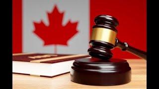 Ultimate Guide to Canadian Employment Law