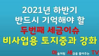 비사업용토지 내년에 팔면 세금이 2억?