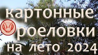 Картонные  ловушки повесил на деревья до сезона 2024 года. Западная Сибирь. Приеду через год