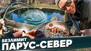 Безлимит ПАРУС-СЕВЕР. Ловля форели на спиннинг. Рыбалка с #OnlySpin