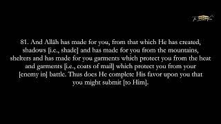 AMAZING - MUST HEAR | AN-NAHL | MUHAMMAD MUBARAK | THE BLESSED VERSES |  سورة النحل - محمد مبارك