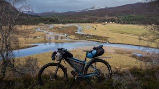 A Cairngorms Christmas