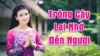 Trông Cây Lại Nhớ Đến Người - Phạm Phương Thảo