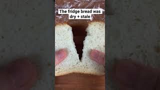 Bite-Size Cooking Science Ep. 22 | why I never refrigerate homemade bread