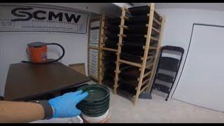 SCMW Mealworm Farm Tour and Weekly Maintenance Routine