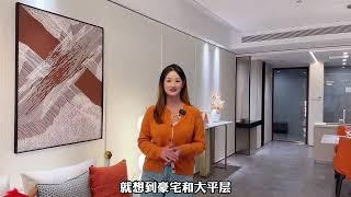 汉口内环核心～高区看江，央企品质凯德广场旁，地铁口100米