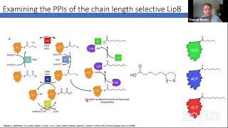 Thomas Bartholow – Elucidation & Engineering Protein-Protein Interactions Carrier Protein Pathways