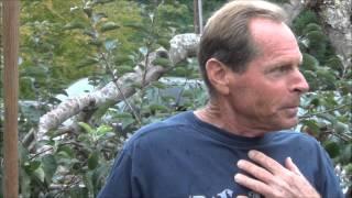 You Can't Over Water Woodchips - Back to Eden Garden Tour - L2Survive with Thatnub