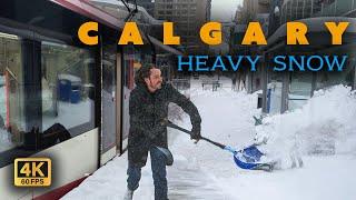 【4K】️ Calgary Winter Wonderland Walking tour: Downtown Snowy Adventure! ️#snow  #walkingtour #4k