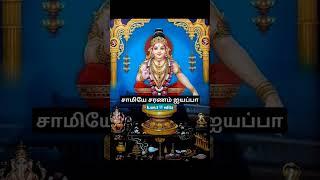 samiyea saranam iyyaippa #music #song #tamil #lordmurugantemple #tamilmusic #murugantempl #murugan