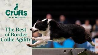 Lightning Quick  The Very Best of Border Collie Agility