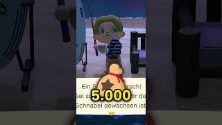 Ich habe 100 Fische in Animal Crossing geangelt!