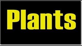 Plants