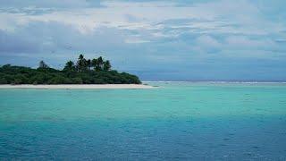 360 video: Tour Rose Atoll, a remote wildlife refuge in American Samoa