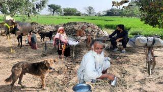 Rural Life's Punjab Pakistan | The Most Natural Life In Pakistani Village