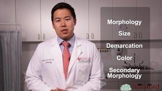 Approach to the Dermatology Exam (Stanford Medicine 25)
