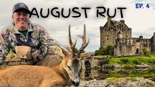 CALLING DEER IN LIKE COYOTES | "August Rut" - Roe Deer Hunting in Scotland