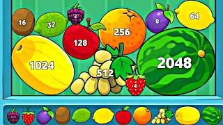 WATERMELON GAME | MERGE 3D ASMR Gameplay (Math Fruits Evolution, Level Up Suika Jelly Balls 2048)