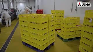 Automated packaging lines in Coral LLC, one of the largest meat producers in Russia