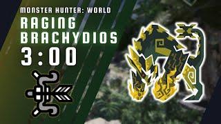 MHW Iceborne (PC) | Raging Brachydios | Bow Solo | 03'00''75