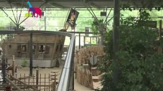 RavotAapia Ouwehands Dierenpark Rhenen