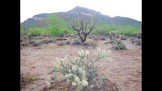 Usery Mountain Park