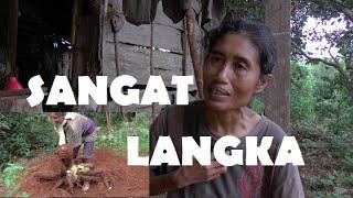 10 TAHUN LEBIH WANITA TINGGAL SENDIRIAN DI TENGAH HUTAN YANG KONON ANGKER, HADAPI BERAGAM GANGGUAN