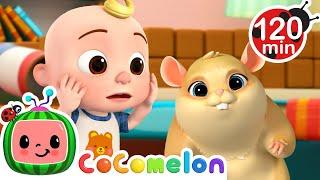 JJ's Hamster Chase Trouble! | CoComelon | Animals for Kids | Sing Along | Learn about Animals