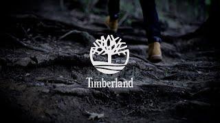 "Forward" | Timberland Spec Commercial