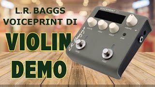 LR Baggs VoicePrint DI - VIOLIN DEMO