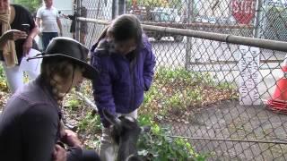 Goats at PPS Admin Building  10/3/13