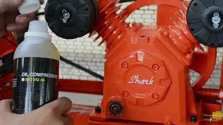 Cara mengganti oli kompresor Shark type lowpressure