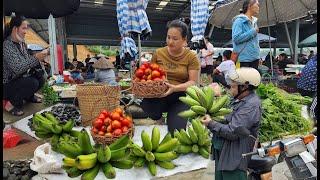 Harvest Bananas and tomatoes from my farm, go to the market. gardening, growing potatoes