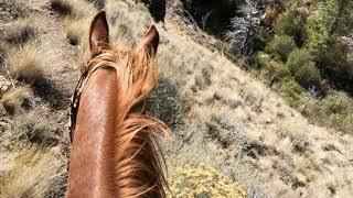 Slide Canyon Jarbidge Wilderness Area October 6 2019