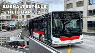 Busse bei der Bushaltestelle Heiligkreuz | Buses at the Heiligkreuz bus stop (2021)