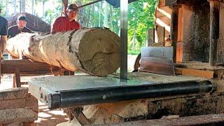 Ingenious operators process long logs and hard fibers at a sawmill for housing materials