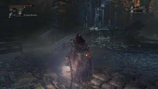 Bloodborne Ведьма Хенвика как найти