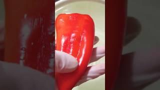 Необычный способ заморозки Перца  Рецепт в комментариях! #shorts #заготовкиназиму